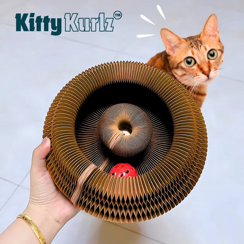 Kitty Kurlz™ –El Juguete que tu gato nunca dejará de disfrutar