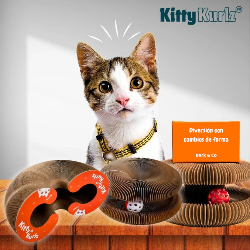 Kitty Kurlz™ –El Juguete que tu gato nunca dejará de disfrutar
